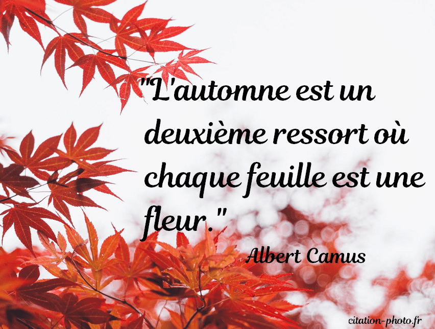 Citations Sur L automne En Images Citations Sur L automne En Images