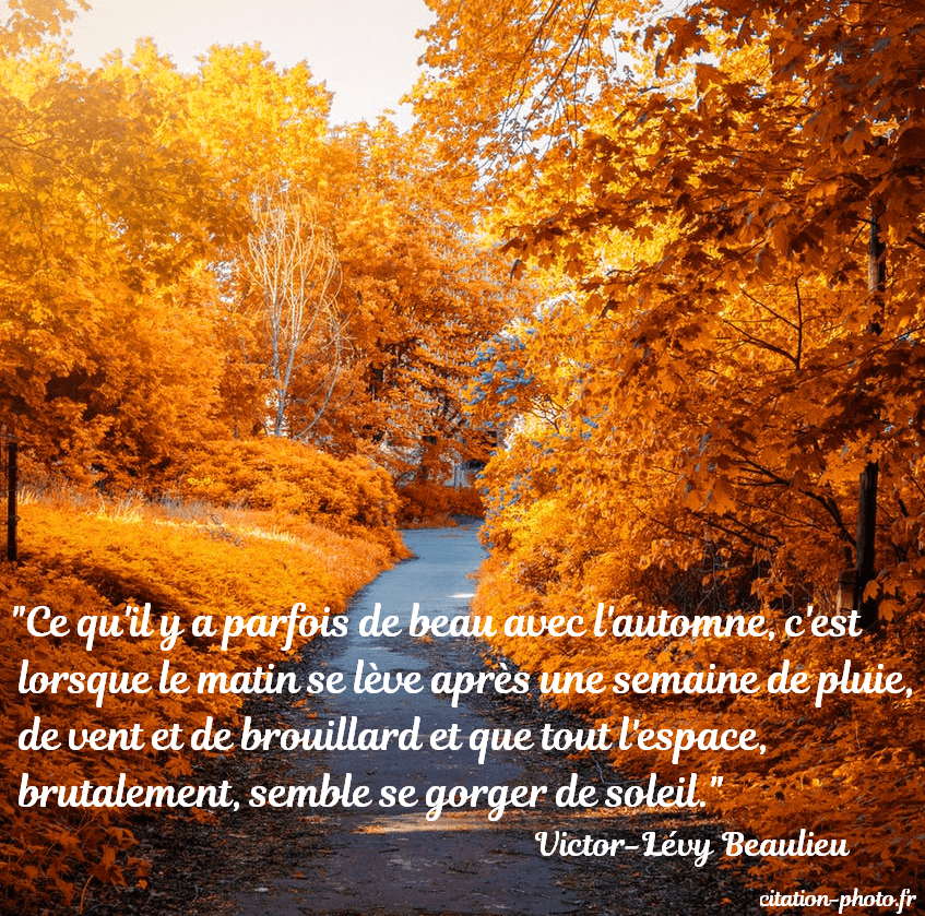 Citations Sur L automne En Images Citations Sur L automne En Images