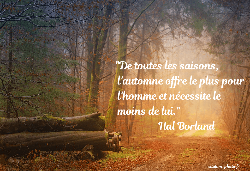 Citations Sur L automne En Images Citations Sur L automne En Images
