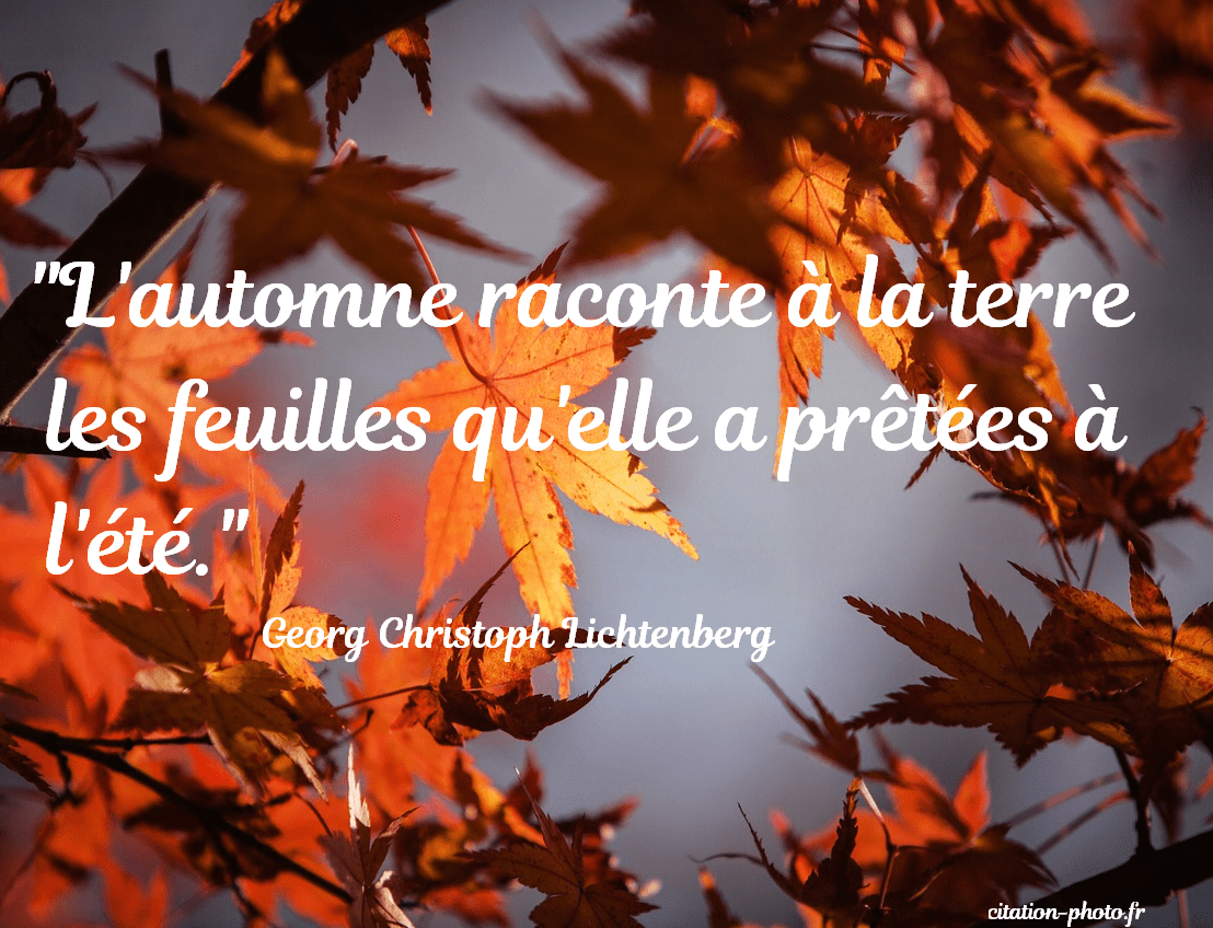 Citations Sur L automne En Images Citations Sur L automne En Images